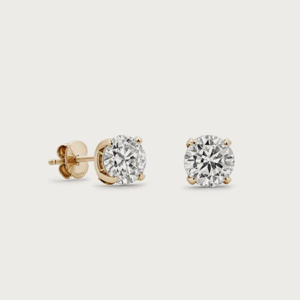 shop48-product2-2 Earing