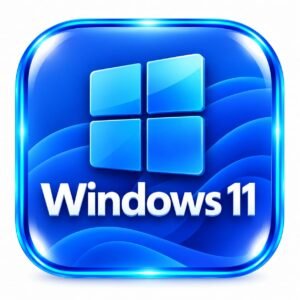 Windows 11